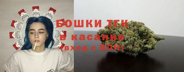 ПСИЛОЦИБИНОВЫЕ ГРИБЫ Верхний Тагил