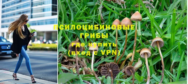 бошки Верея