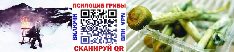 где купить наркоту  Вязники  Галлюциногенные грибы GOLDEN TEACHER 